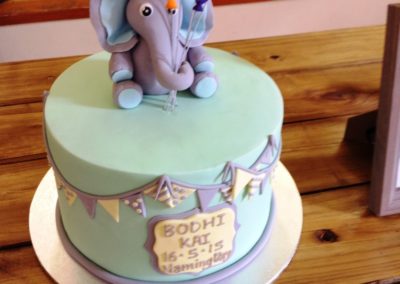 Bodhi Kai Czerwinski (Parents Cassie & Marty) Pt Noarlunga SA