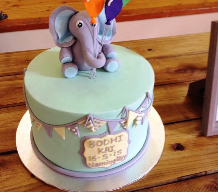 Bodhi Kai Czerwinski (Parents Cassie & Marty) Pt Noarlunga SA